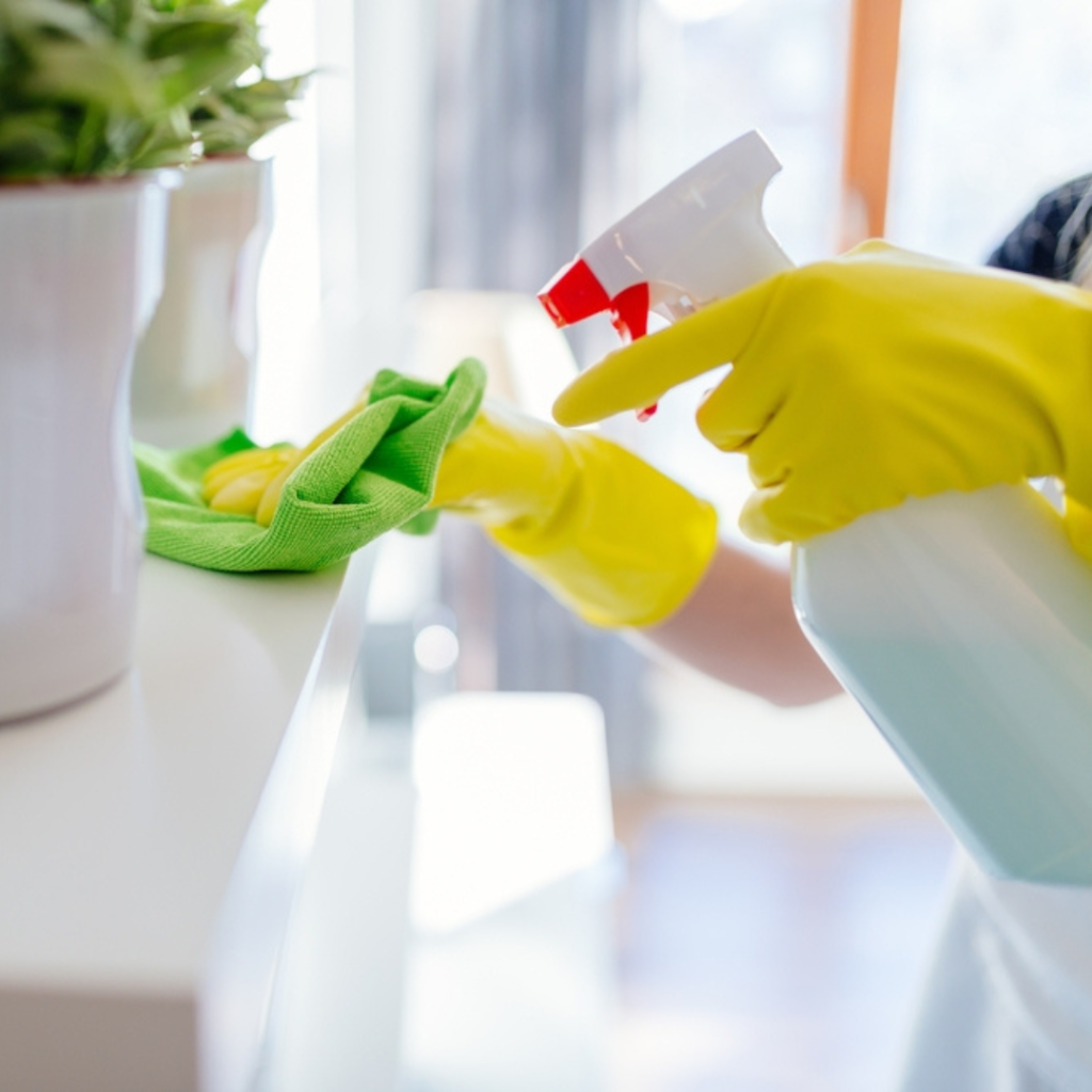 Household Cleaning Services